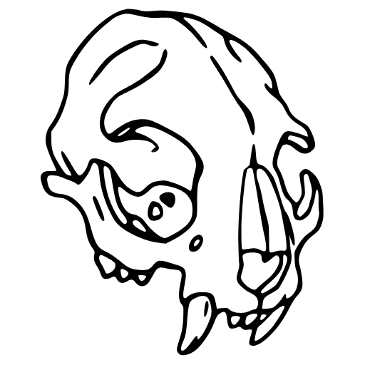 Стикер 28 adaptive RANDOMMM