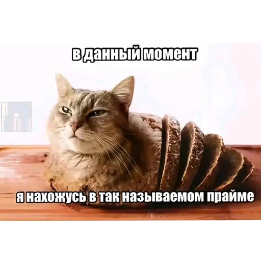 👍 Стикер «Рандом» для Telegram