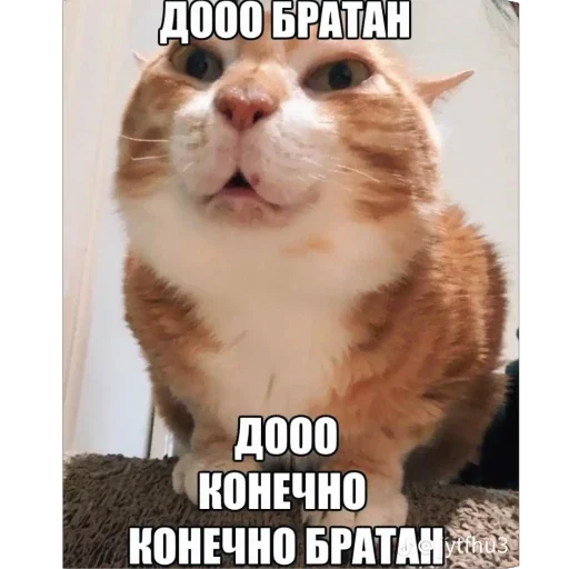 🫥 Стикер «Рандом» для Telegram