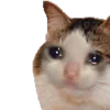 Стикер 59 Random Emoji P1