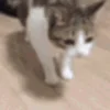 Стикер 6 🐱 Random emoji pack