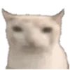 Стикер 3 🐱 Random emoji pack