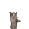 Стикер 5 🐱 Random emoji pack