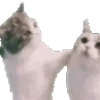 Стикер 4 🐱 Random emoji pack