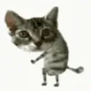 Стикер 8 🐱 Random emoji pack