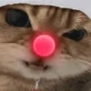 Стикер 12 Randomoji -