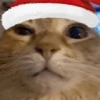 Стикер 14 Randomoji -