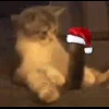 Стикер 36 Randomoji -