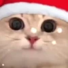 Стикер 11 Randomoji -