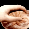🐱 Эмодзи «EMOTES COLLECTION» для Telegram