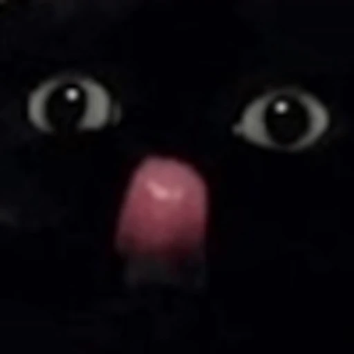 🐈‍⬛ Эмодзи «EMOTES COLLECTION» для Telegram