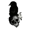 Стикер 33 Raven