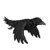 Стикер 50 Raven