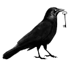 Стикер 46 Raven