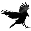 Стикер 13 Raven