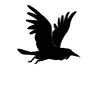 Стикер 26 Raven
