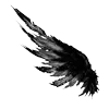 Стикер 4 Raven