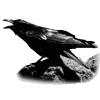 Стикер 20 Raven