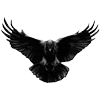 Стикер 11 Raven