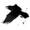 Стикер 44 Raven