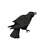 Стикер 28 Raven