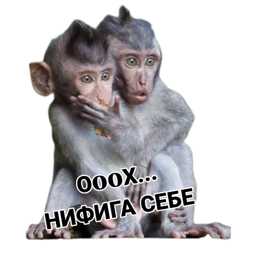 🥺 Стикер «Разное19» для Telegram