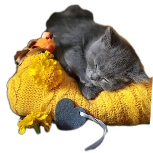 🐱 Стикер «Разное9» для Telegram