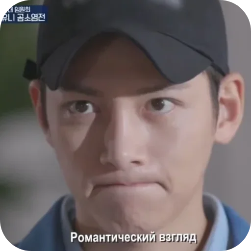 Стикерпак Ji Changwook для Telegram