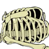 Стикер 44 Death