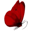 Стикер 23 Red Pack