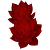 Стикер 52 Red Pack