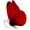 Стикер 24 Red Pack