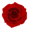 Стикер 39 Red Pack