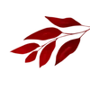 Стикер 19 Red Pack