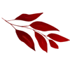 Стикер 18 Red Pack