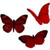 Стикер 36 Red Pack