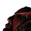Стикер 7 Red Flowers