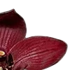 Стикер 39 Red Flowers