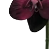 Стикер 29 Red Flowers
