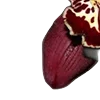 Стикер 45 Red Flowers