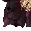 Стикер 25 Red Flowers