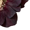 Стикер 26 Red Flowers