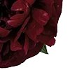 Стикер 10 Red Flowers