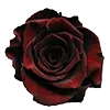 Стикер 28 Red Flowers