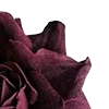 Стикер 24 Red Flowers