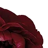 Стикер 2 Red Flowers