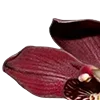 Стикер 37 Red Flowers