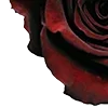 Стикер 15 Red Flowers