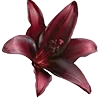 Стикер 56 Red Flowers