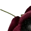 Стикер 53 Red Flowers